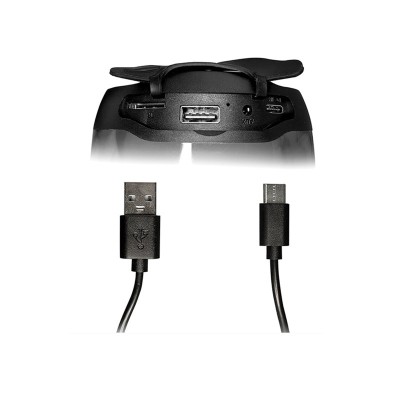 Parlante Inalámbrico Teros TE6044N LUZ LED PORTATIL SD RADIO FM