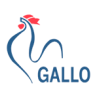 Gallo
