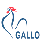 Gallo